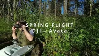 The BEST FPV Drone For Forest Exploration? - DJI Avata