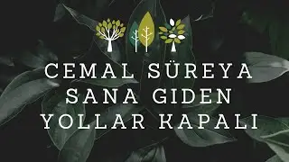 Biliyorum Sana Giden Yollar Kapalı | Cemal Süreya
