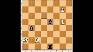 Chess Beauty #93