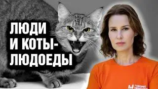 Юг без света. Борьба с мигрантами. Первый срок за Баймак / НеМосква с Фаридой Курбангалеевой