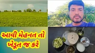 આવી મેહનત તો ખેડૂત જ કરે||gujrat farmer||farm work