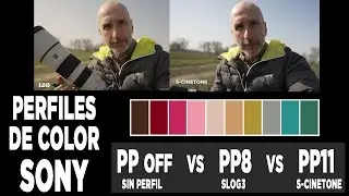 ¿Cuál es el MEJOR PERFIL de color de SONY A1 y A7iv en la naturaleza? 🎥SLOG3 vs S-CINETONE vs PP OFF