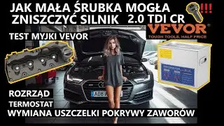 DLACZEGO AUDI MIAŁO FARTA? JAK MAŁA ŚRUBKA MOGŁA USZKODZIĆ SILNIK. TEST MYJKI ULTRADŹWIĘKOWEJ VEVOR.