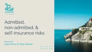 Admitted, Non-Admitted, and Self-Insurance Explained