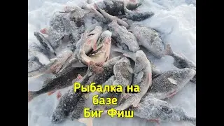 Рыбалка на Рыбинском водохранилище. База Биг-Фиш.