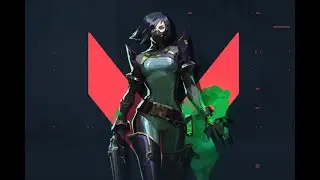 Моё Первое впечатление о Viper