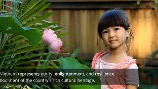 The Lotus Flower: A Symbol of Purity and Enlightenment in Vietnamese Culture