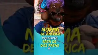 NORMA DE AMÉRICA ⭐ 2024 🔴  Rata De Dos Patas ✅ #RataDeDosPatas #Jujuy #CarnavalJujeño