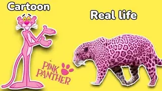 Pink Panther and Pals Characters in real life❗️