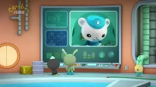 Octonauts  -  The Hermit Crabs