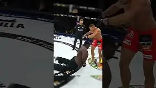 спать отправил #юмор #mma #приколы