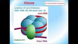 Practical lesson 3