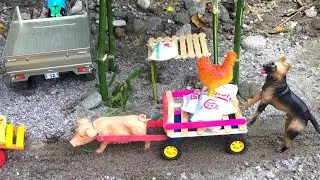 Community Funtray, for Toy animals | Play farm animals |  novo brinquedo de animais | wethink play