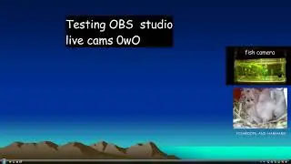 setting up obs