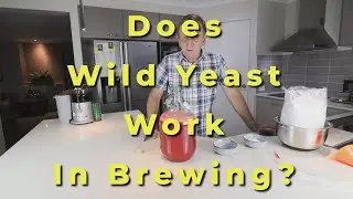 Wild Yeast Experiment