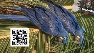 Гонцы Music✌🤓 Музыка 2023 music Лучшее ХИТЫ Remix Techno minimal deep mix