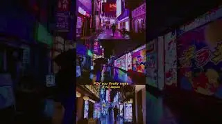 POV You finally make it to Japan