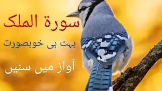 Surah mulk beautifull voice/AN KHAN ISLAMIC VIDEO