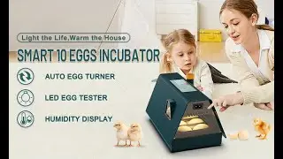 WONEGG Digital House 10 Eggs Incubator