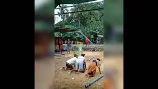 Mamtua Ju son mau kalah || Goyang Bento