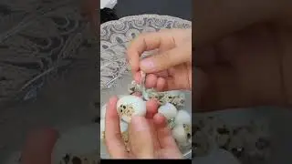 Life hacks 😏 #shorts​ #egg​