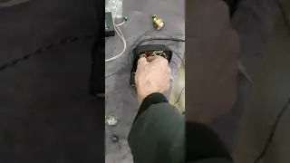 Ред голд з штатним датчиком від Маски.