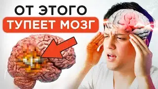Это нас ПОРТИТ! / Продукты и привычки, которые вредят нашему самочувствию
