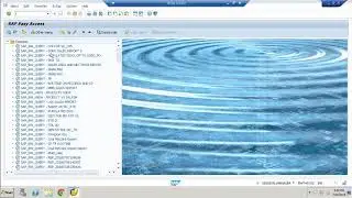 SAP LOGON Screen  GUI NAVIGATION ||SAP-BI/BW