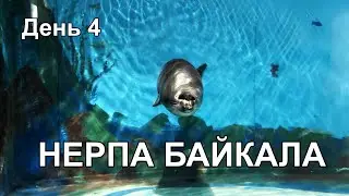 Байкал Листвянка День 4