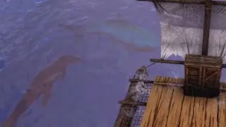 NOPE - ARK