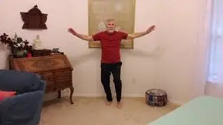 Qigong lesson 2e Five Animal Frolics Crane