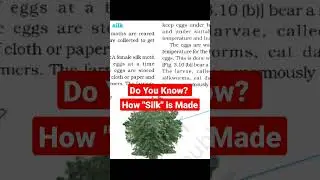 How silk is made | From where we get silk #silk #silkfarming