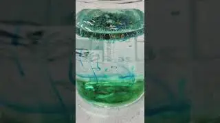 Simple Food Dye, Oil & Water Experiment