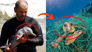 Aдамдар өлүмдөн сактап калган 10 жаныбар