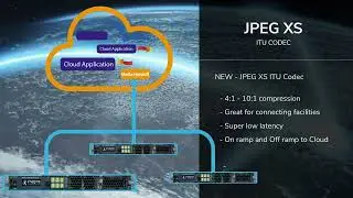 Selenio™ Network Processor (SNP)