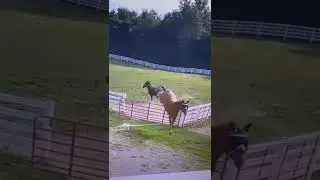 Don’t run from the lord