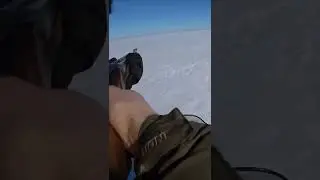 охота на волков добыли лесных волков