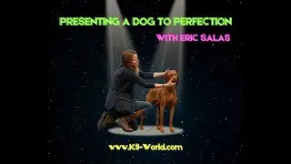 Presenting a Dog to Perfection - with Eric Salas