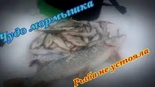 эта мормышка сводила с ума сорожку