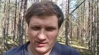Почему интерес к росту неравномерный