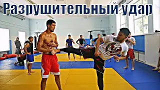 Side kick или йоко гери как грозное оружие бойца ММА! Тренировка на обучение ударов ногами.