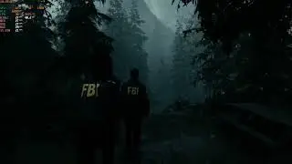Alan Wake II PC 1650 Super Benchmark