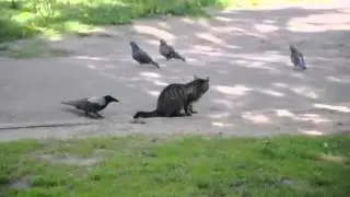 ЗА ХВОСТ ЕГО!