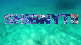 Интро Shibnytii / Нравится или нет / Почему