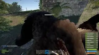 RUST / КАК СТИЛЬНО УБИТЬ МЕДВЕДЯ?