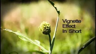 How To Add VIGENETTE Effect In Photoshop |SIMPLE WAY|
