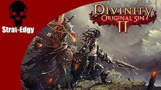 Divinity Original Sin 2 (spoilers) - Crazy, Sexy, Broken