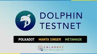 Dolphin Testnet