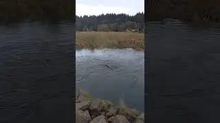 Amazing nature