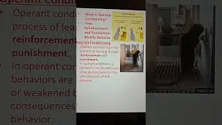 The Science Behind Operant Conditioning: it modifies behaviour #msc #shorts #youtubeshorts #ytshorts